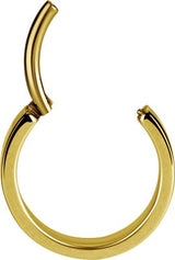 GD 316 PLAIN HINGED HOOPS