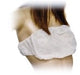 Soutien-gorge blanc - Emballage individuel - 100 unités