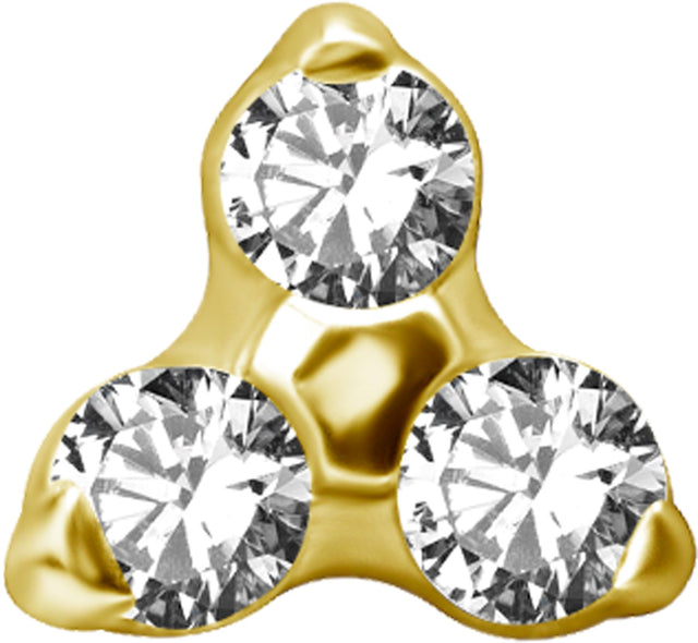 GD TT int TRINITY ATTACHMENT