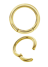 GD 316 CLICK SEGMENT RING