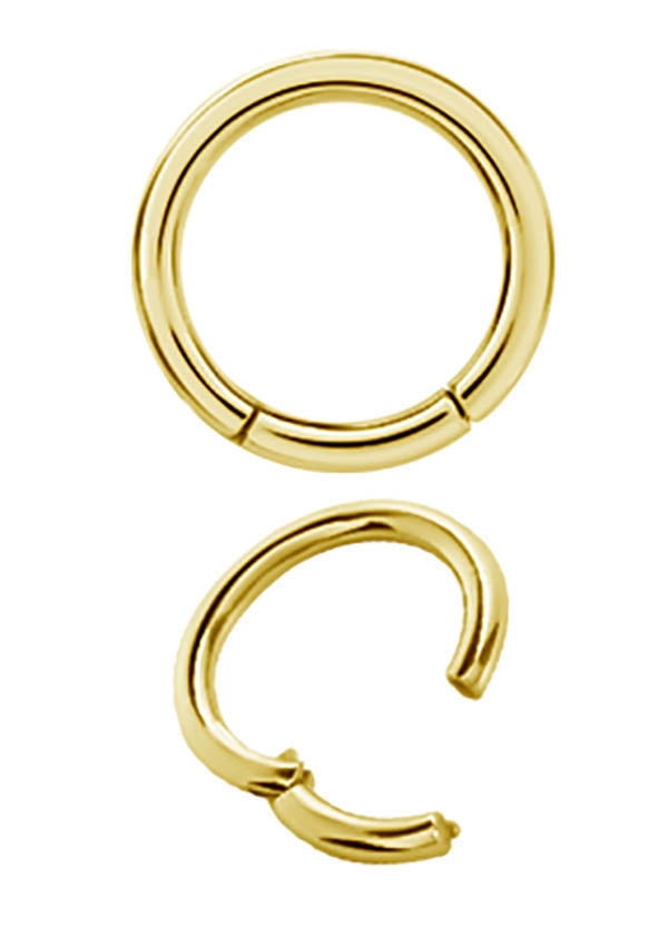 GD 316 CLICK SEGMENT RING