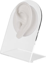 PRÉSENTOIR ANATOMIQUE BLANC - Oreille gauche