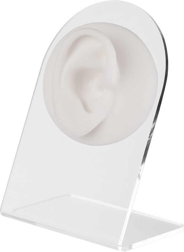 PRÉSENTOIR ANATOMIQUE BLANC - Oreille droite