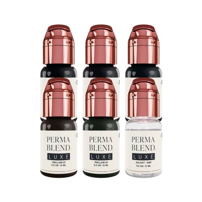 Encres Perma Blend Luxe 6x15ml - Stevey G. Reclaim Set